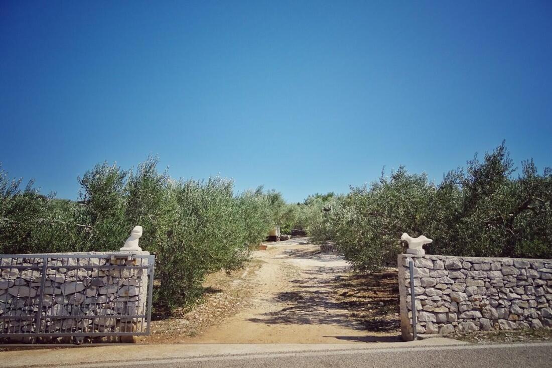 Secluded Holiday House Povlja, Brac - 14500 Dış mekan fotoğraf